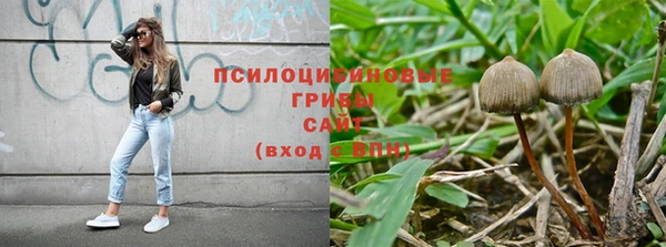 трава Абаза