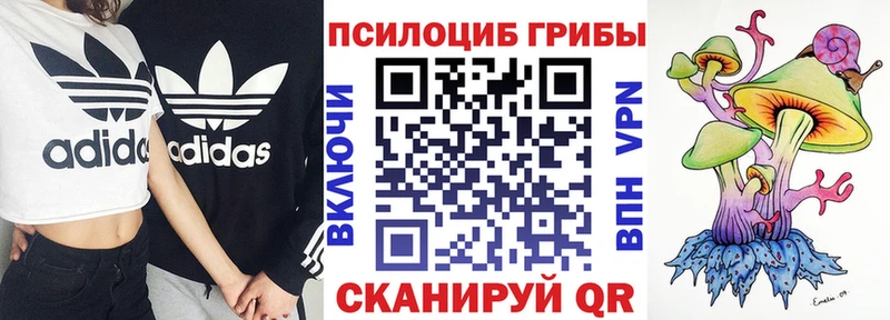блэк спрут   наркошоп  Калач  Псилоцибиновые грибы ЛСД 